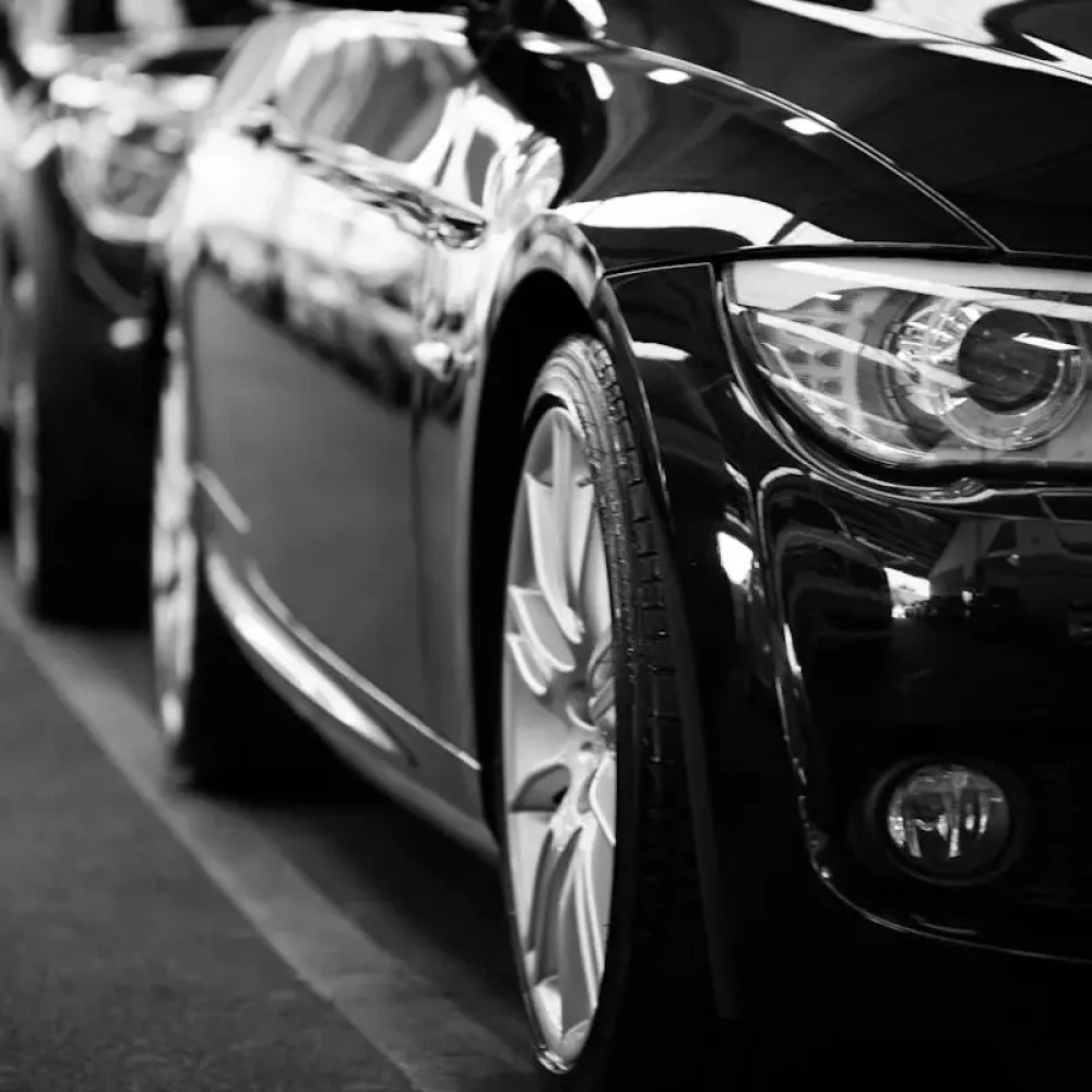 pexels-tdcat-70912 pexels-tdcat-70912